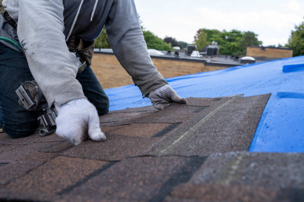 Best Roof Gutter Cleaning  in Riverdale Park, CA